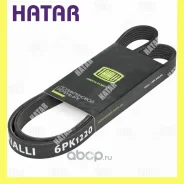 ������ ������������ Trialli 6PK1220 6PK1220 ����