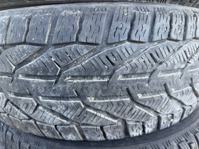 Tigar SUV Winter. ������, ��� �����, �/�, ����� 40 % ����