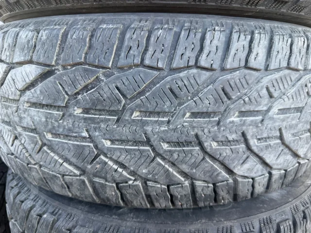 Tigar SUV Winter. ������, ��� �����, �/�, ����� 40 % ����