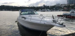 Searay. 1991 ���, ����� 9��., ��������� ������������, 300��.�., ������ ����