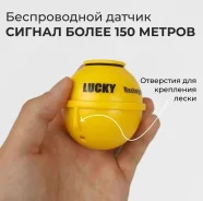 ������ Lucky ����