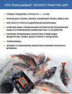 ������ ������� 6M ����