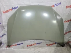 ����� Chevrolet Aveo 2006-2012 SYGM048G002 T255 SYGM048G002 ����