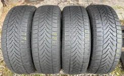 Lassa Competus Winter 2