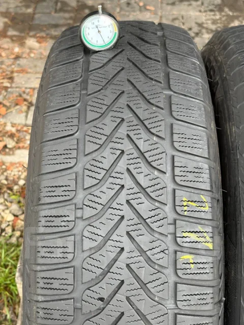 Lassa Competus Winter 2