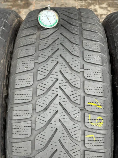 Lassa Competus Winter 2