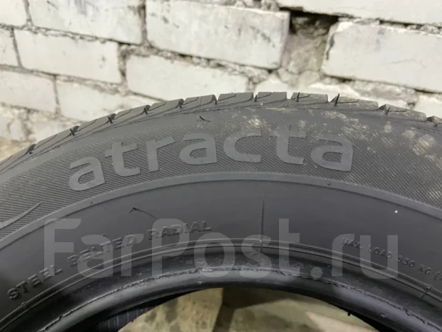 Lassa Atracta