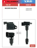 ������� ��������� IGC203F/IGC203A * YEC (Flamma) YEC IGC203F ����