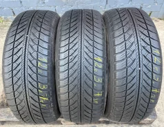 Goodyear UltraGrip Performance 2