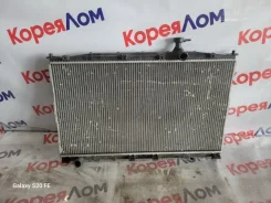 �������� ���������� Hyundai Santa Fe 2005-2009 253102B000 CM 253102B000 ����