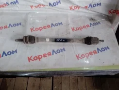 ������ KIA Optima 2019 49501D4150 JF G4ND, ������ 49501D4150 ����