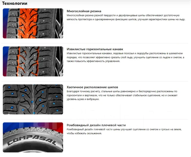 Compasal Winter Stud. ������, ����������, 2026 ���, ����� ����