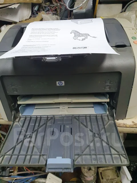 �������� ��������. ����
