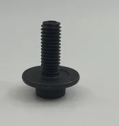 ���� � ����� ������� �8�20 ����