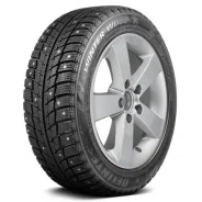 Delinte Winter WD52