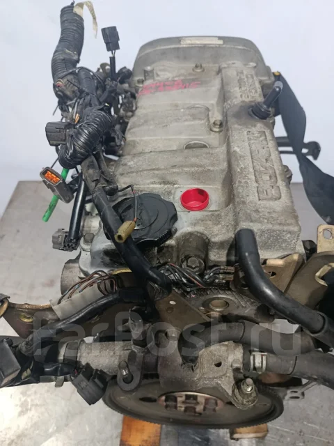 ��������� Mazda Capella FSN902300 FSN902300 ����