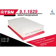 ������ ��������� Haval Jiolion 1109104XGW02A 911829 TSN 911829 ����
