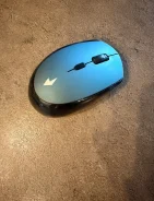 ���� ������������. ����