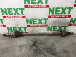 ������ Nissan Terrano GC02162 D10, ������ ������ GC02162 ����