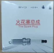 ����� ��������� BYD 2025 8-00400 1716547600 ����