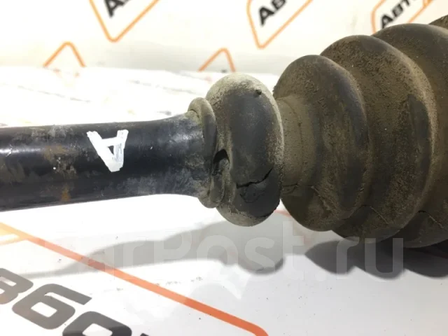 ������ Audi A6 811407331 �5, ������ 811407331 ����