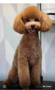 ������. ����