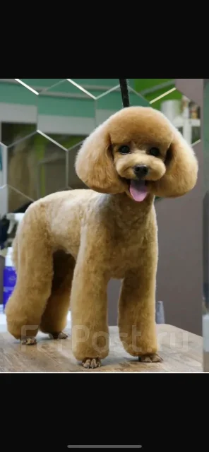 ������. ����