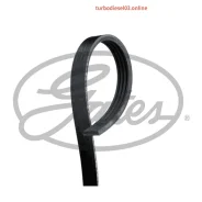 ������ ������������ XF 48360 Gates 4PK938 4PK938 ����