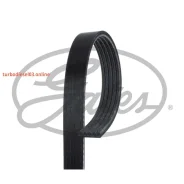 ������ ������������ XF Gates 5PK1090 5PK1090 ����