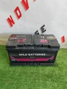 Wild Batteries