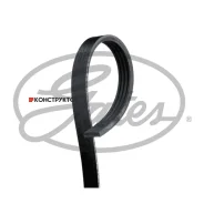 ������ ������������ XF 48360 Gates 4PK938 4PK938 ����