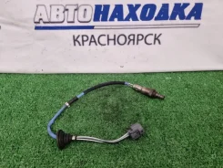 ������-���� Honda FIT 2001-2008 36532PWAJ02 GD1 L13A, ������ 36532PWAJ02 ����