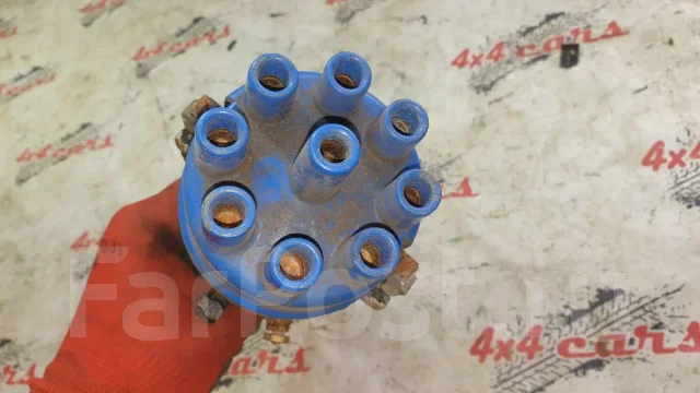 ���������. ����