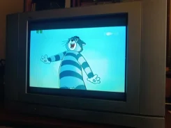 Panasonic TX-21PS70T. CRT (���) ����