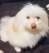 �����. ����