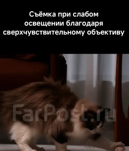IP-������. ����