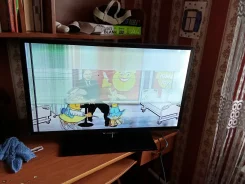 Samsung. OLED ����