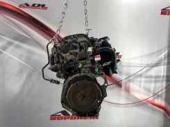��������� Ford Focus 1998-2007 EDDB EDDB 1215885, 1215904 ����