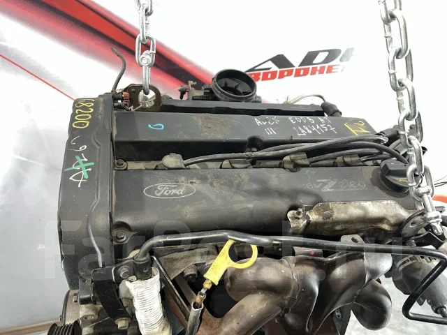 ��������� Ford Focus 1998-2007 EDDB EDDB 1215885, 1215904 ����