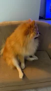 �������� ����. ����