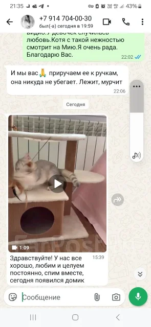 ���������� �����. ����