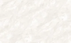 ���� 6057602 ���� ���� ��� /1.06*10�/Erismann-Pocc�� 23� ����