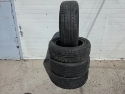 Bridgestone Blizzak DM-V1