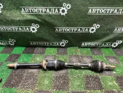 ������ Lexus ES300H 2018-2026 4341033360, �������� ������ 4341033360 ����