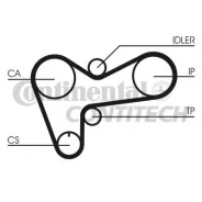 ������ ��� Isuzu. Opel 2.8-3.1TD Z=119*32 87 Contitech CT508 CT508 ����