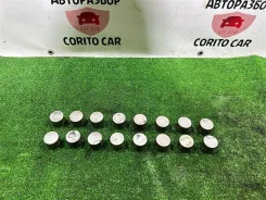 ��������� ������� Chevrolet Captiva 2010 24419109 C100 Z24SED 24419109 ����