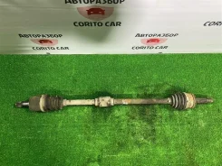 ������ Hyundai Getz 2008 495001C362 1 G4EE, �������� ������ 495001C362 ����
