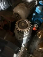 ������ �������. ����
