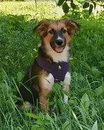 ������. ����