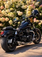 Triumph Thunderbird Storm. 1 700����. ��., ��������, ���������, ������ �� �� ����